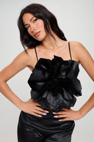 Crop Top & Pant Set - Wear Arielle