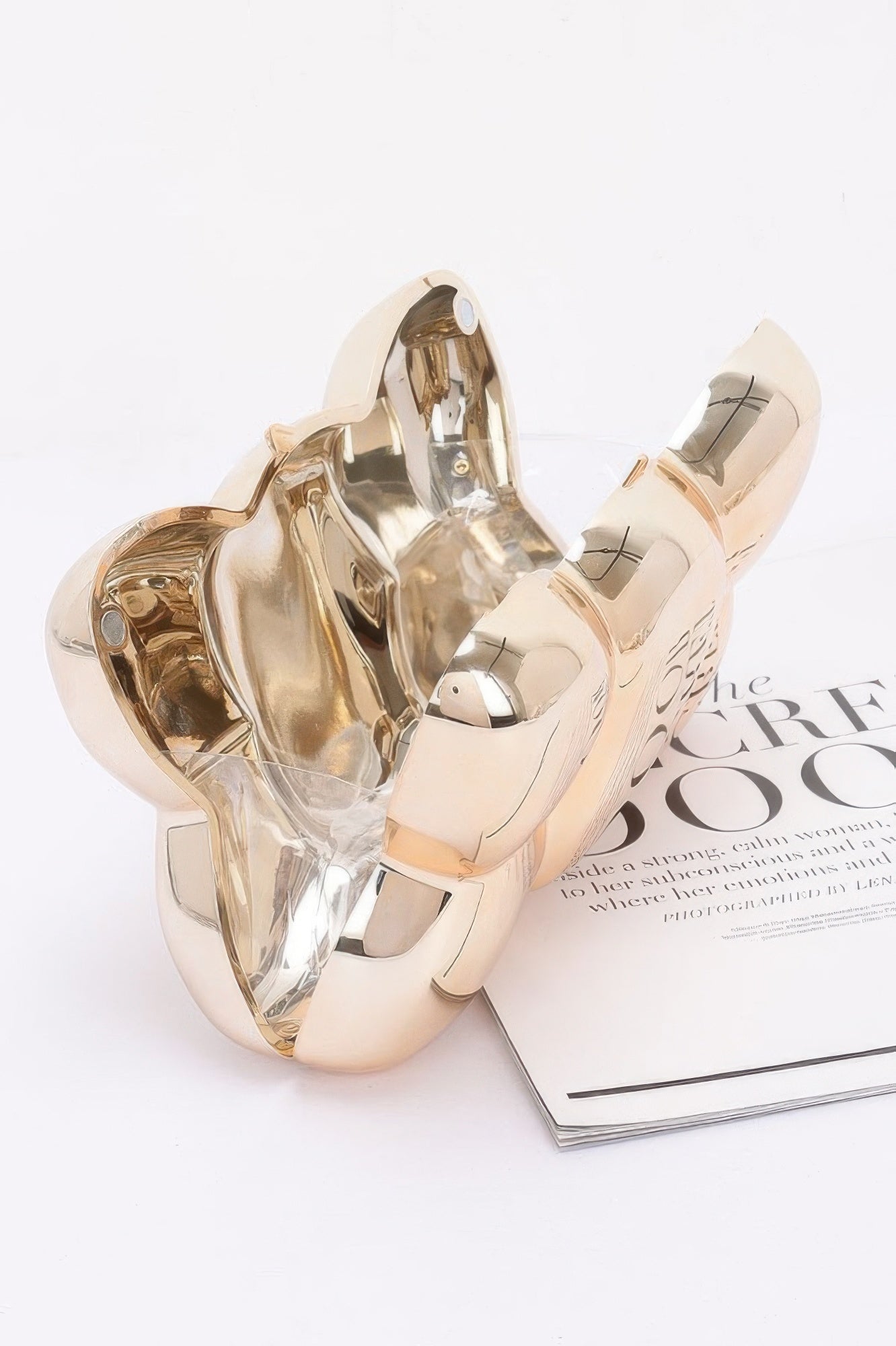 Acrylic Case Bag - Wear Arielle