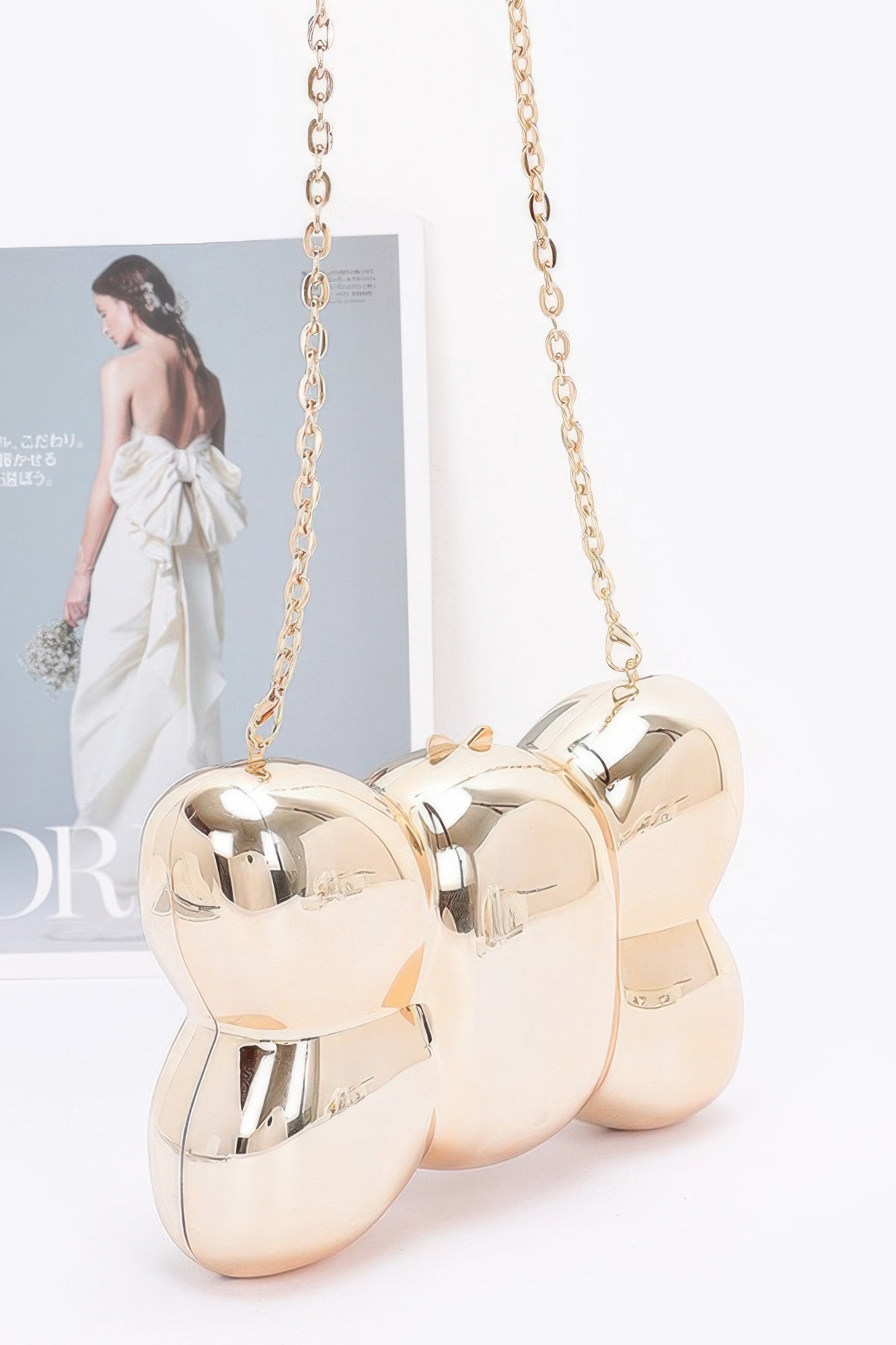 Acrylic Case Bag - Wear Arielle