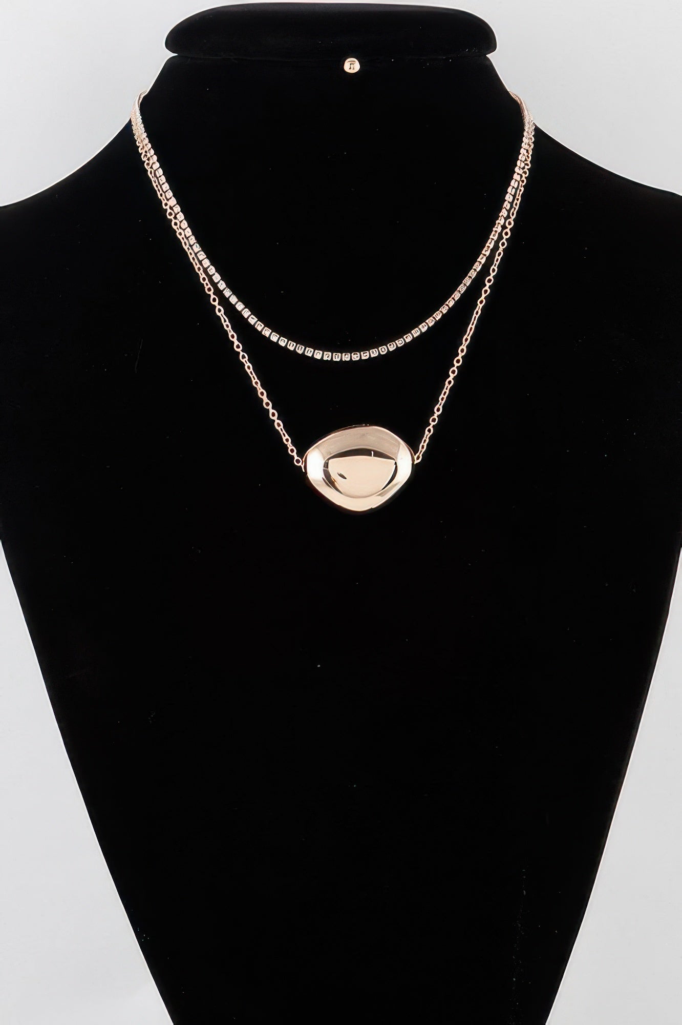 Double Shiny Plate Necklace - Wear Arielle