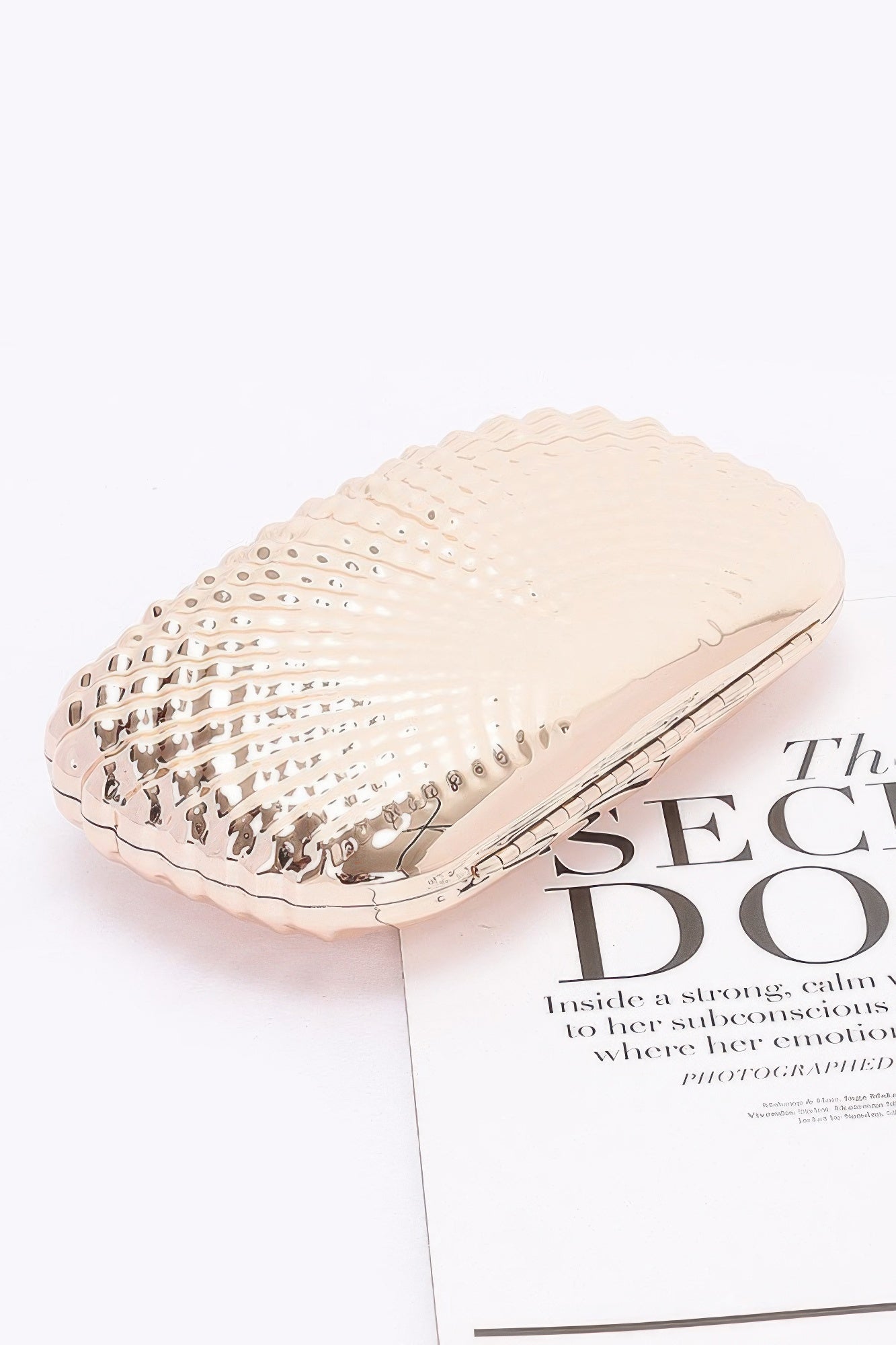 Metal Case Clutch - Wear Arielle