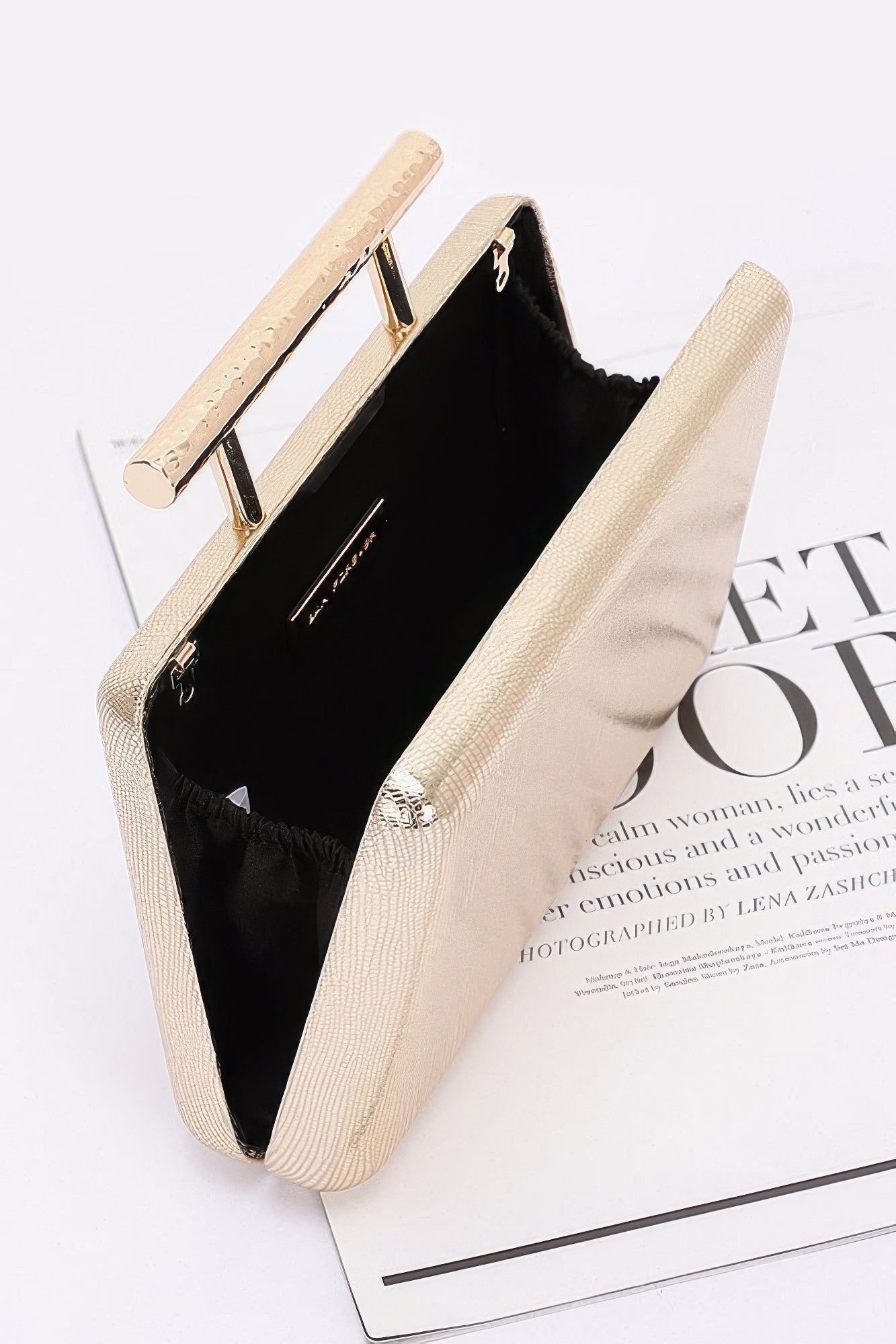 Metal Handle Top Case Clutch - Wear Arielle