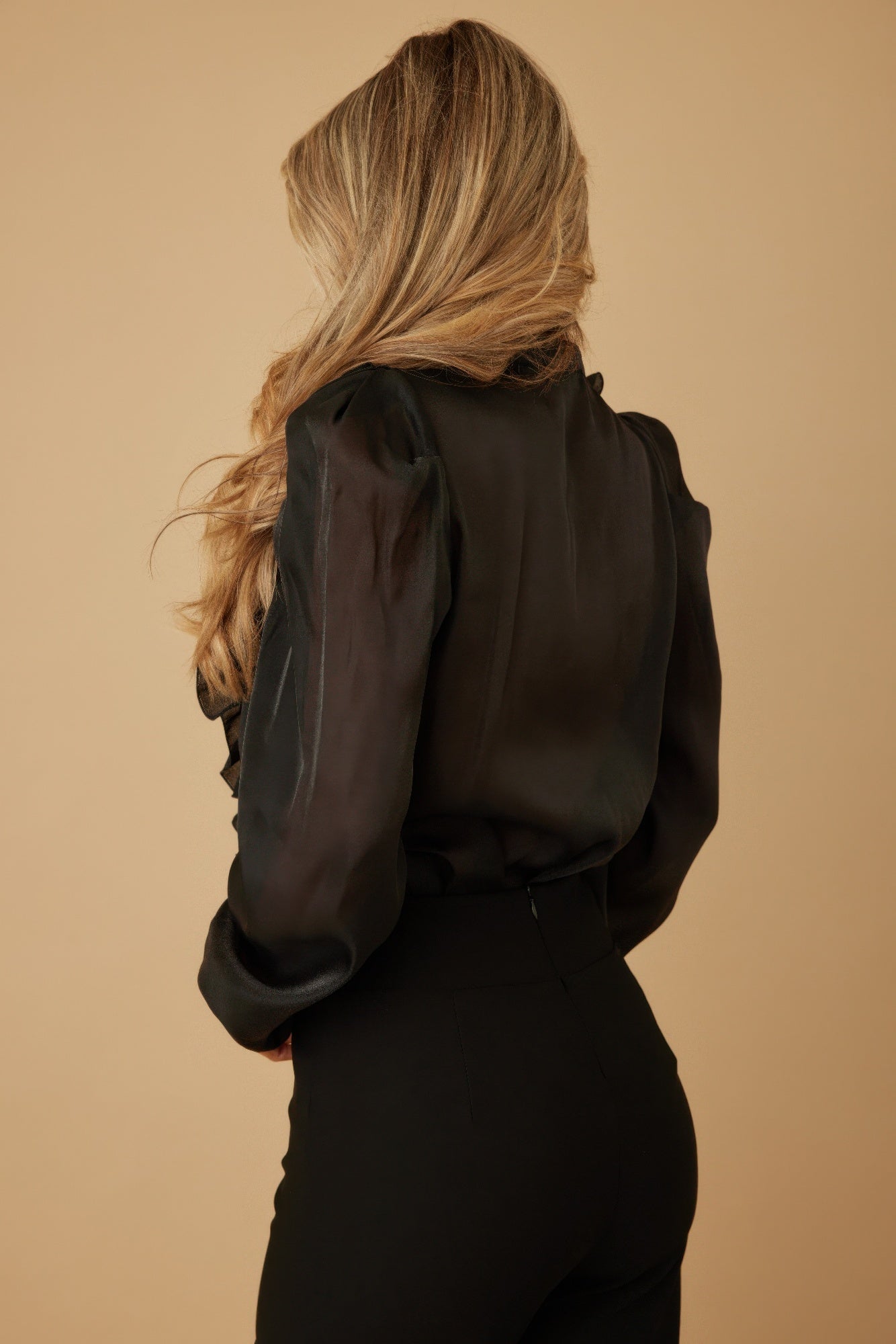 Ruffle Micro Crystal Long Sleeve Blouse - Wear Arielle