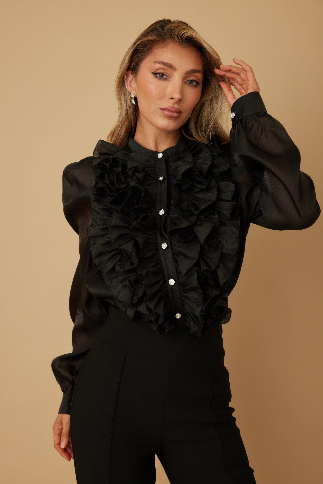 Ruffle Micro Crystal Long Sleeve Blouse - Wear Arielle