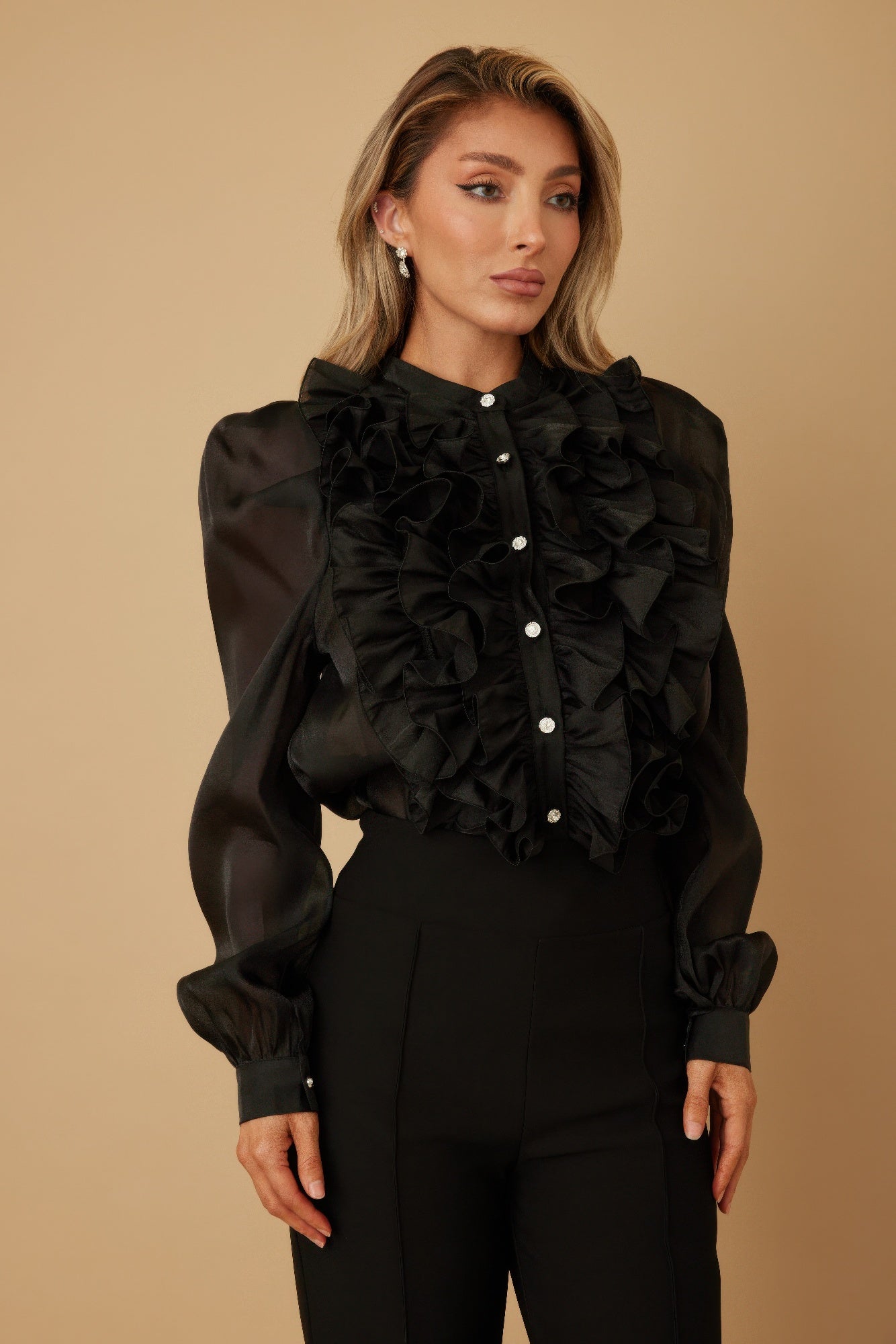Ruffle Micro Crystal Long Sleeve Blouse - Wear Arielle