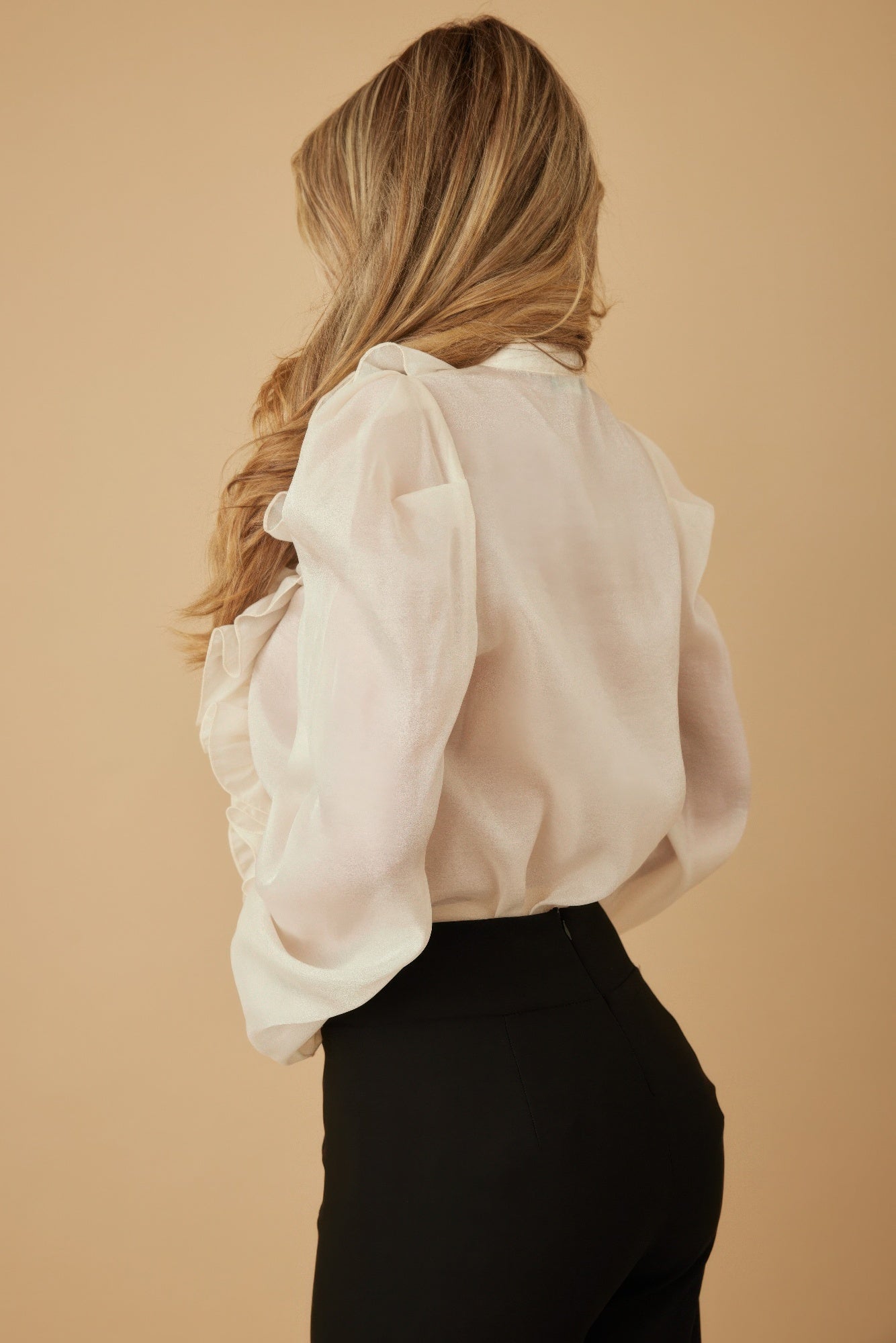 Ruffle Micro Crystal Long Sleeve Blouse - Wear Arielle