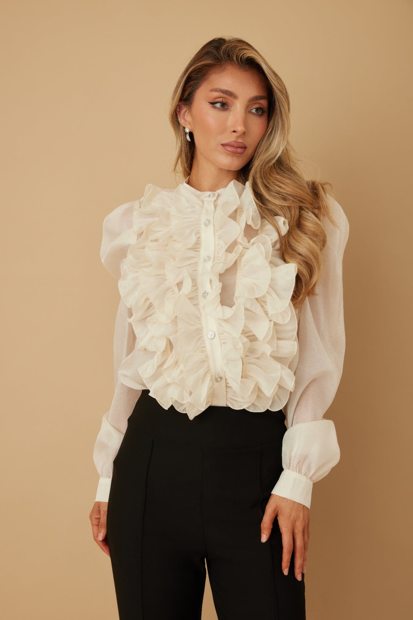 Ruffle Micro Crystal Long Sleeve Blouse - Wear Arielle