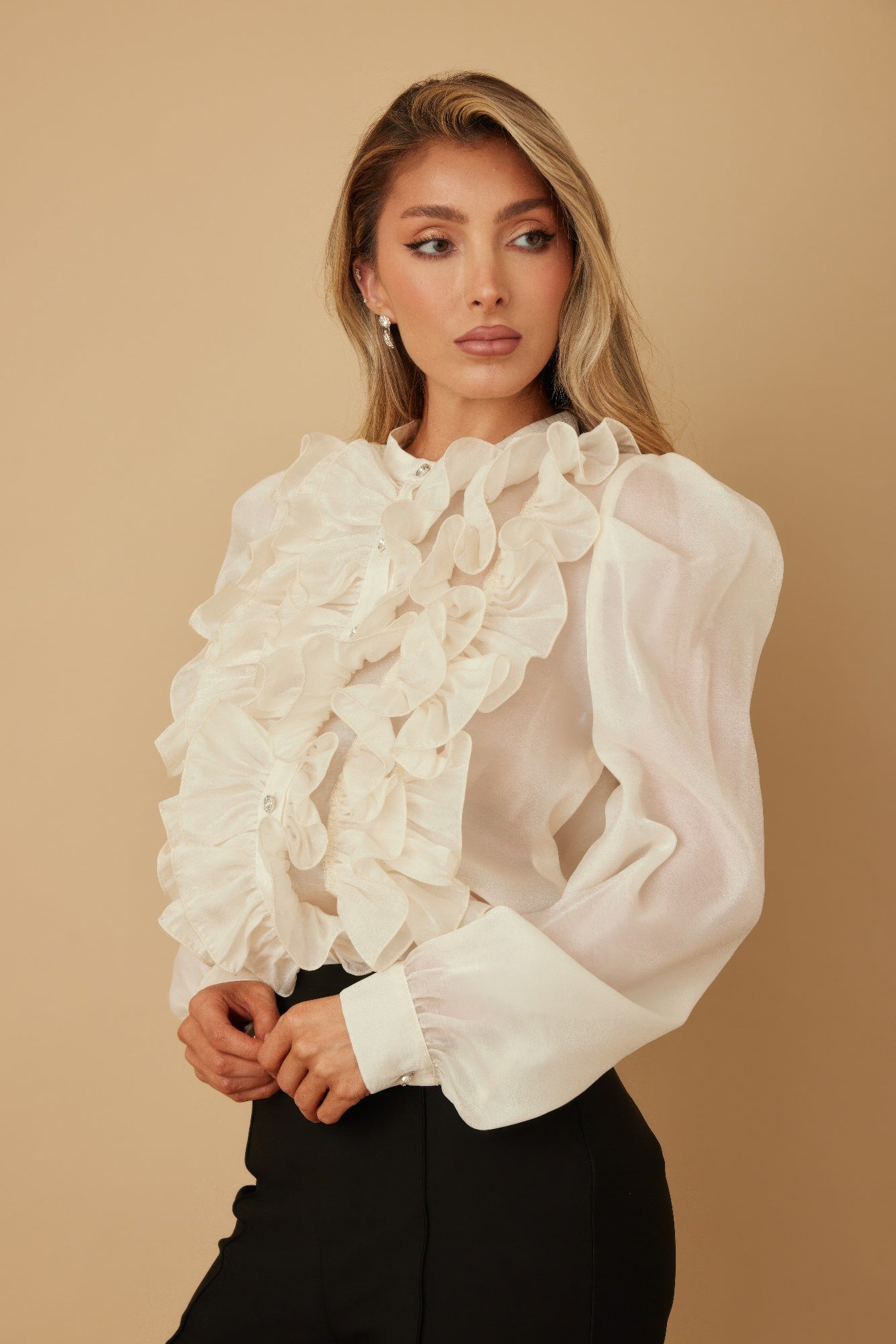 Ruffle Micro Crystal Long Sleeve Blouse - Wear Arielle