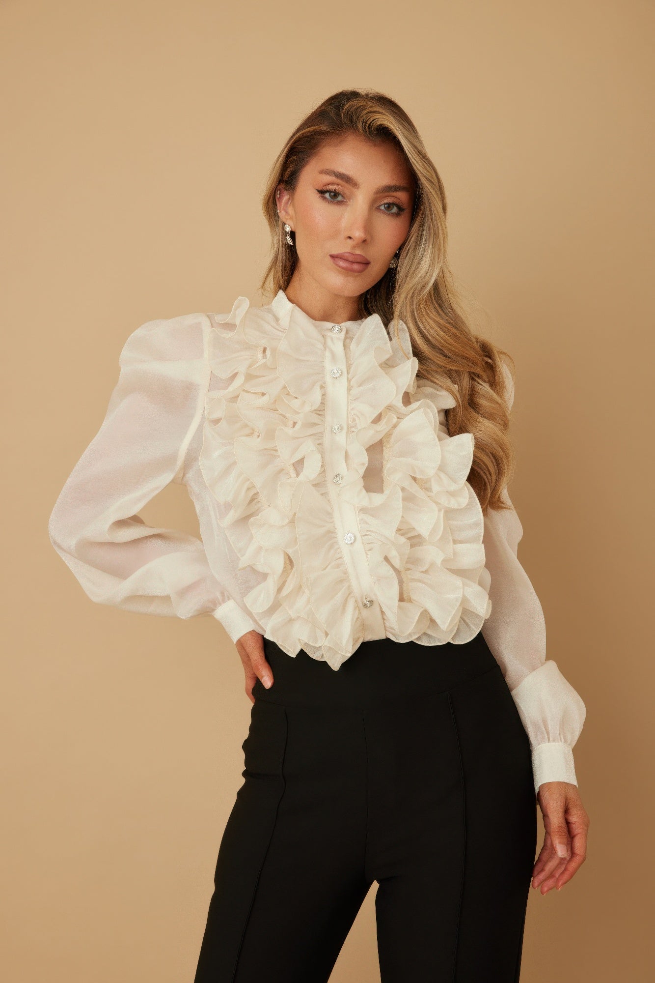 Ruffle Micro Crystal Long Sleeve Blouse - Wear Arielle