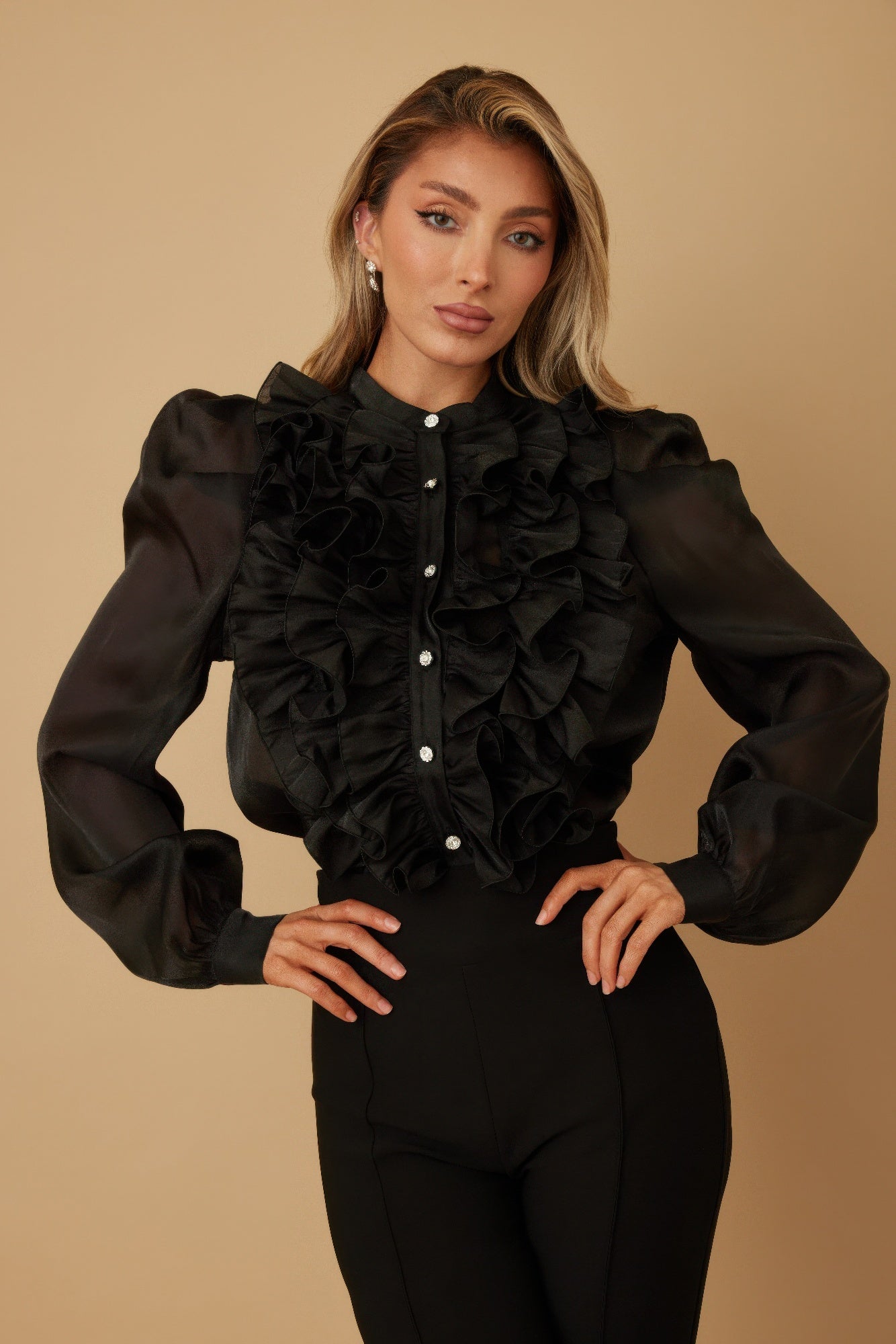 Ruffle Micro Crystal Long Sleeve Blouse - Wear Arielle