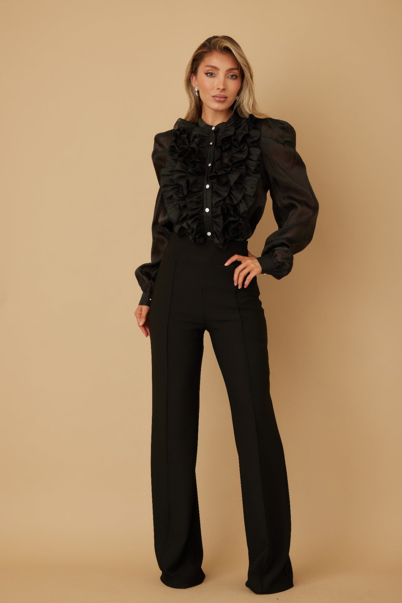 Ruffle Micro Crystal Long Sleeve Blouse - Wear Arielle
