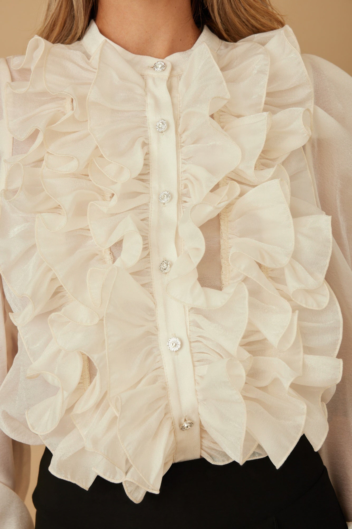 Ruffle Micro Crystal Long Sleeve Blouse - Wear Arielle