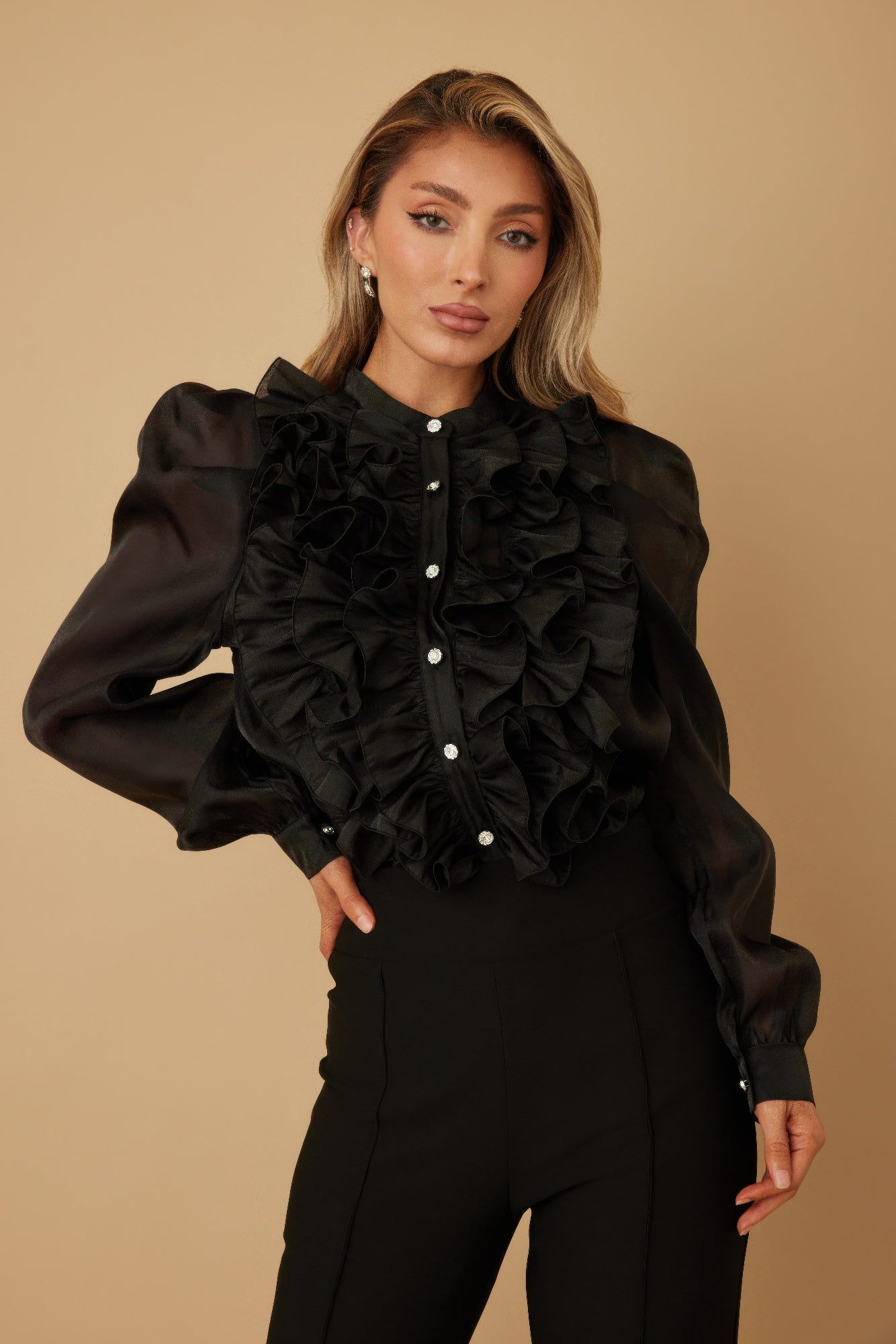 Ruffle Micro Crystal Long Sleeve Blouse - Wear Arielle
