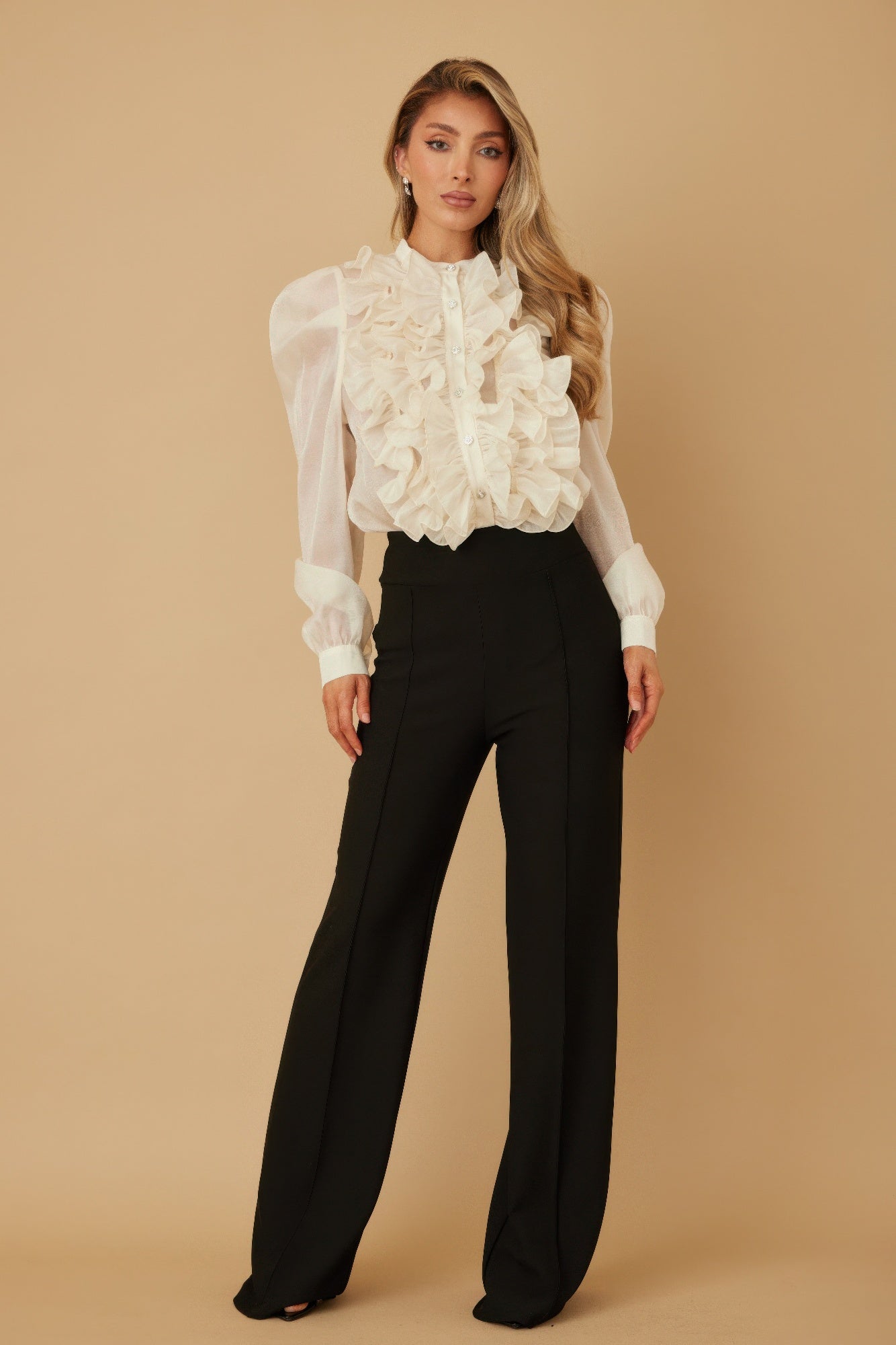 Ruffle Micro Crystal Long Sleeve Blouse - Wear Arielle