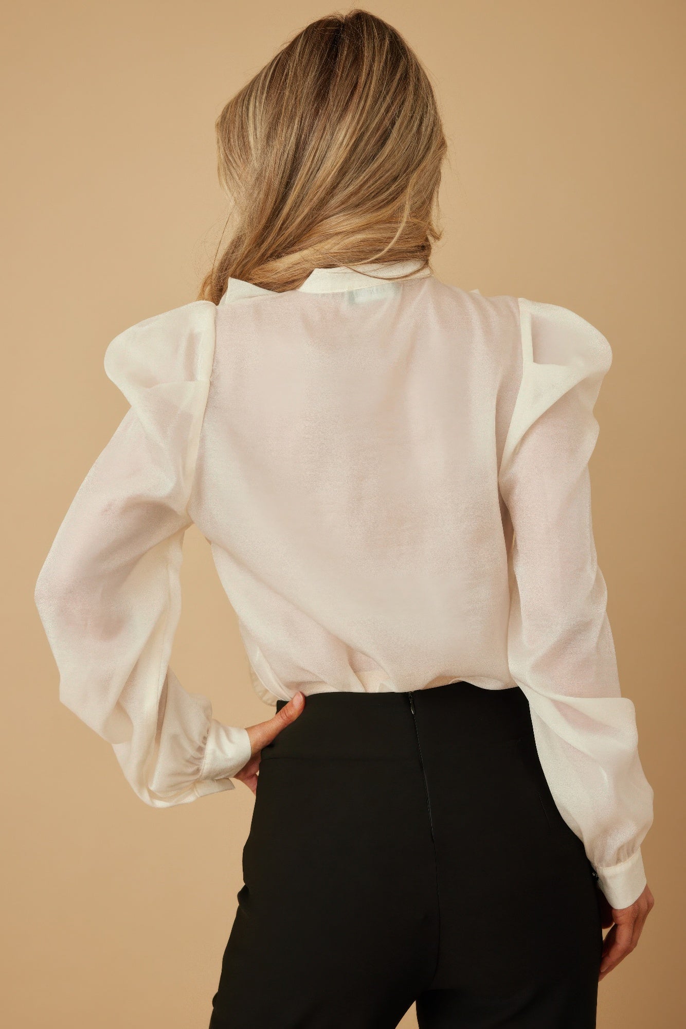 Ruffle Micro Crystal Long Sleeve Blouse - Wear Arielle