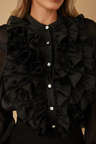 Ruffle Micro Crystal Long Sleeve Blouse - Wear Arielle