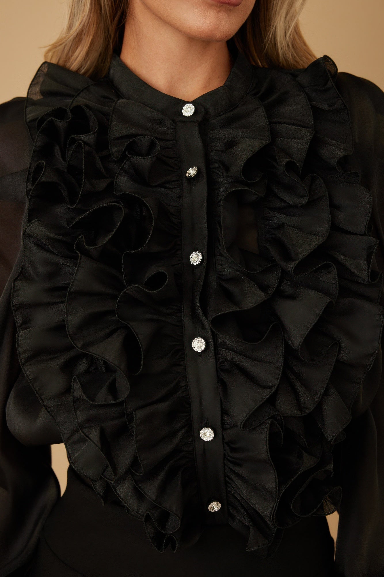 Ruffle Micro Crystal Long Sleeve Blouse - Wear Arielle