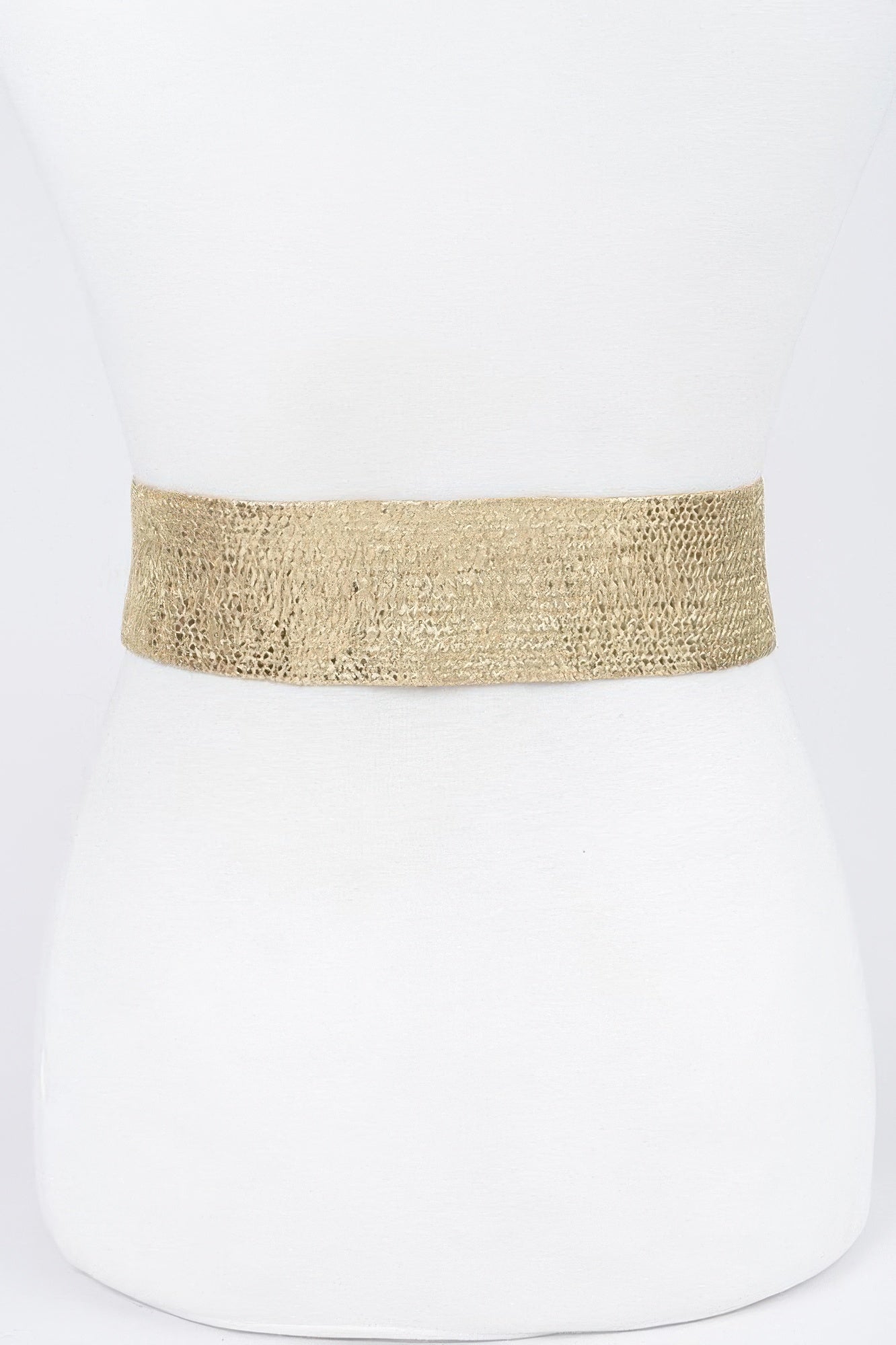 Wide Metal Buckle Plus Size Clear Belt - Wear Arielle