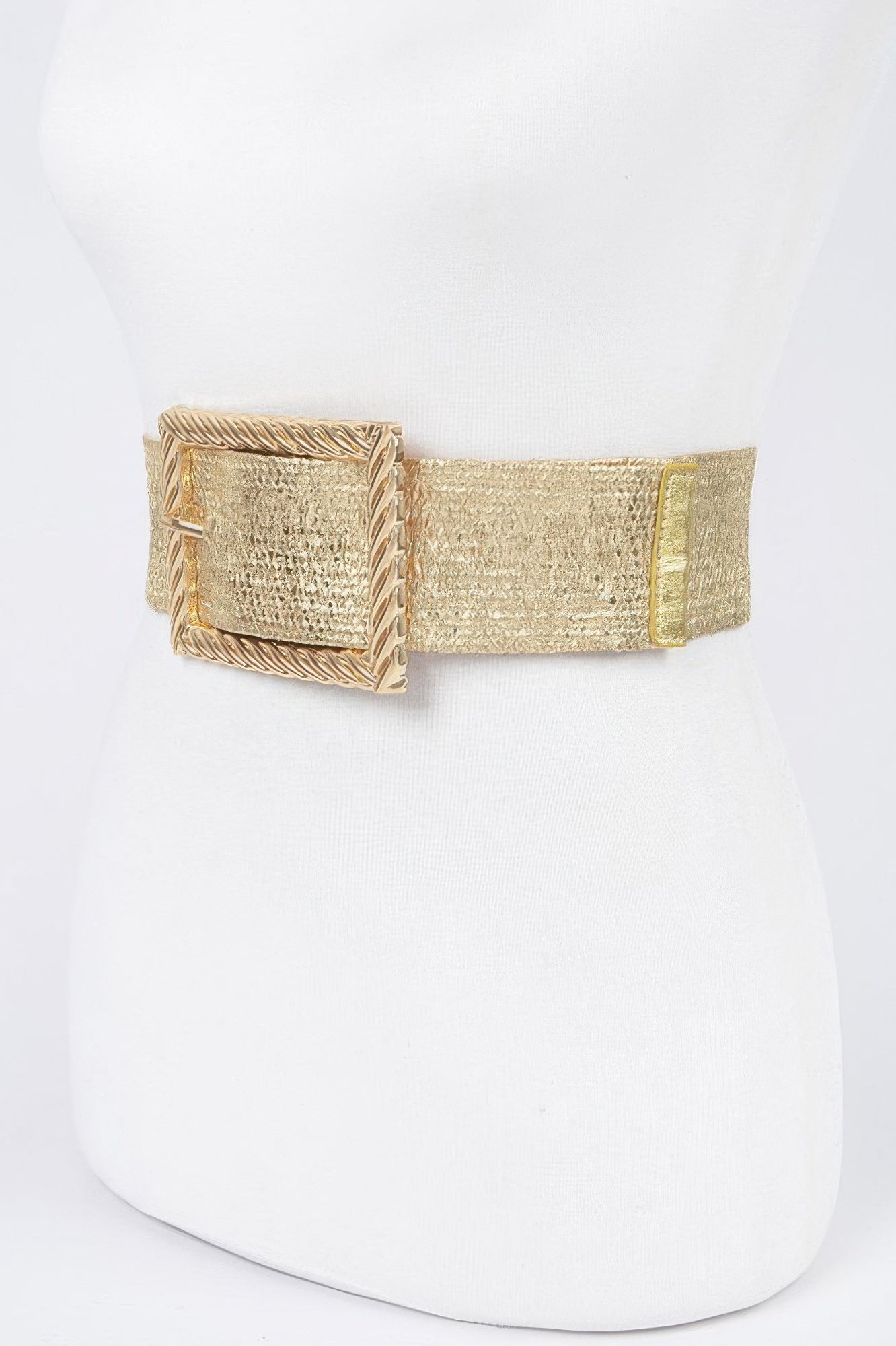 Wide Metal Buckle Plus Size Clear Belt - Wear Arielle
